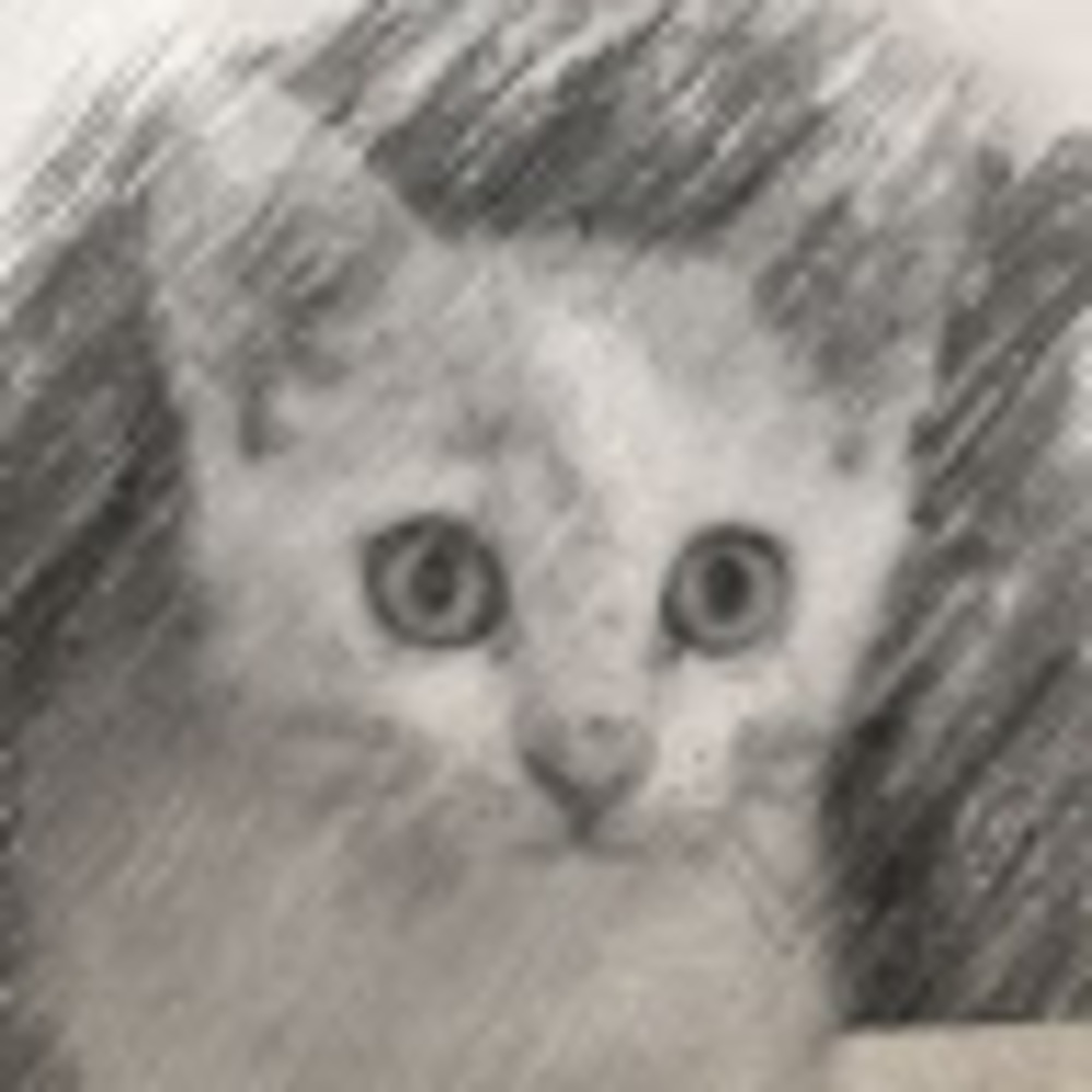 Meet your Posher, Jess